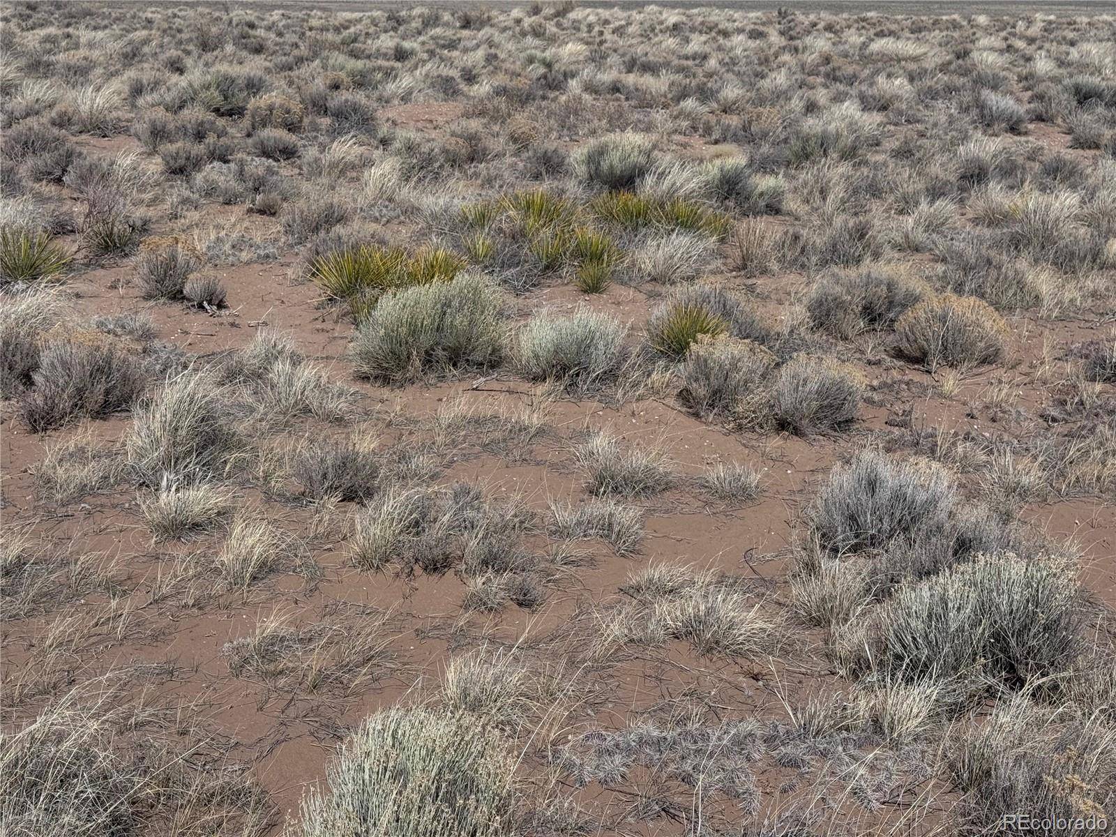 lot 19 Ana RD, San Luis, CO 81152