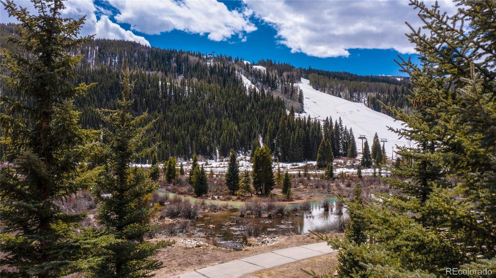 58 Hawk CIR #2342, Dillon, CO 80435