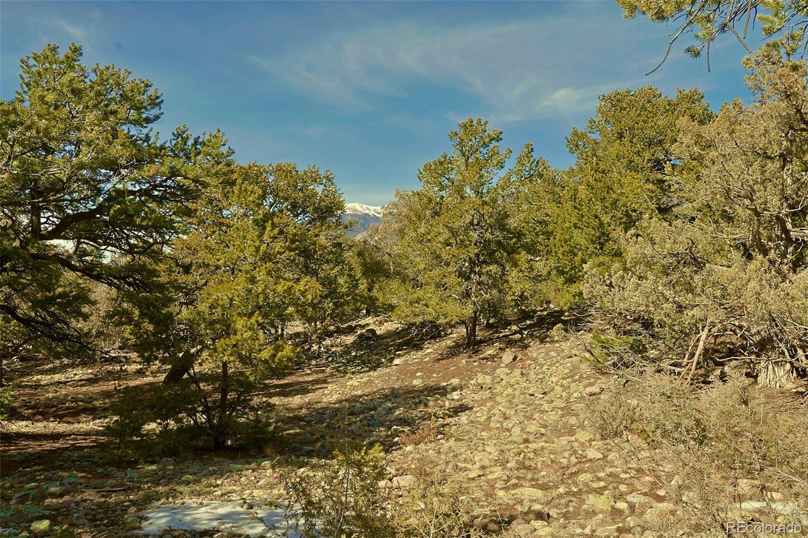 2130 Big Ranch Overlook, Crestone, CO 81131