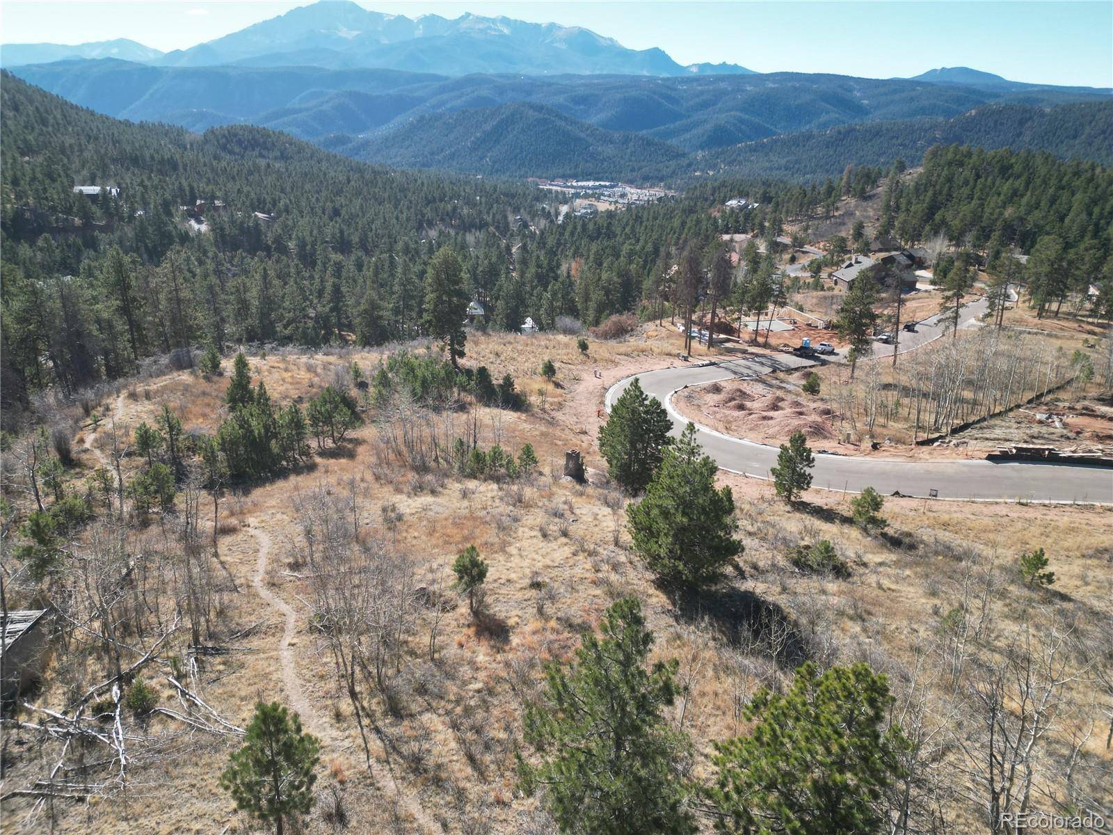 19 Blue Haven PL, Woodland Park, CO 80863