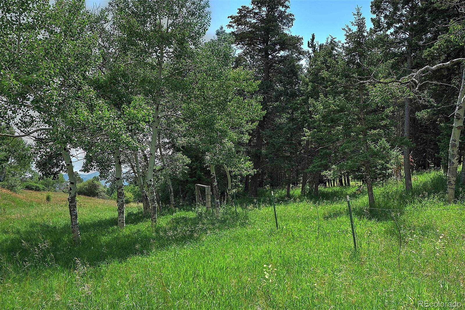 13884 N Trail CIR, Littleton, CO 80127