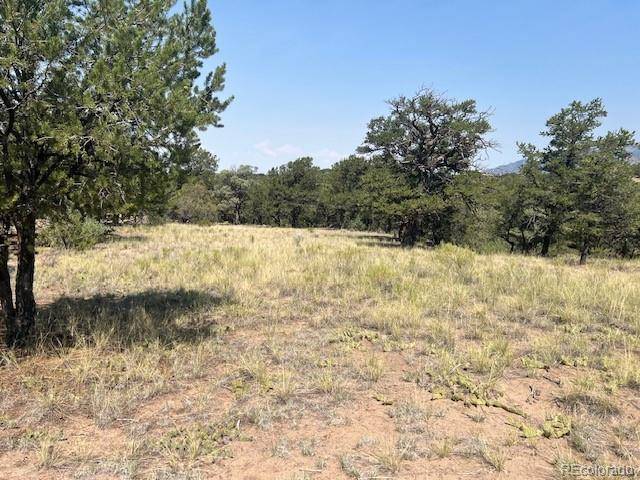 2158 Indian Well WAY, Crestone, CO 81131