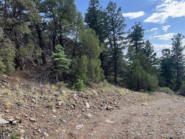 314 Arrastre RD, Mosca, CO 81146