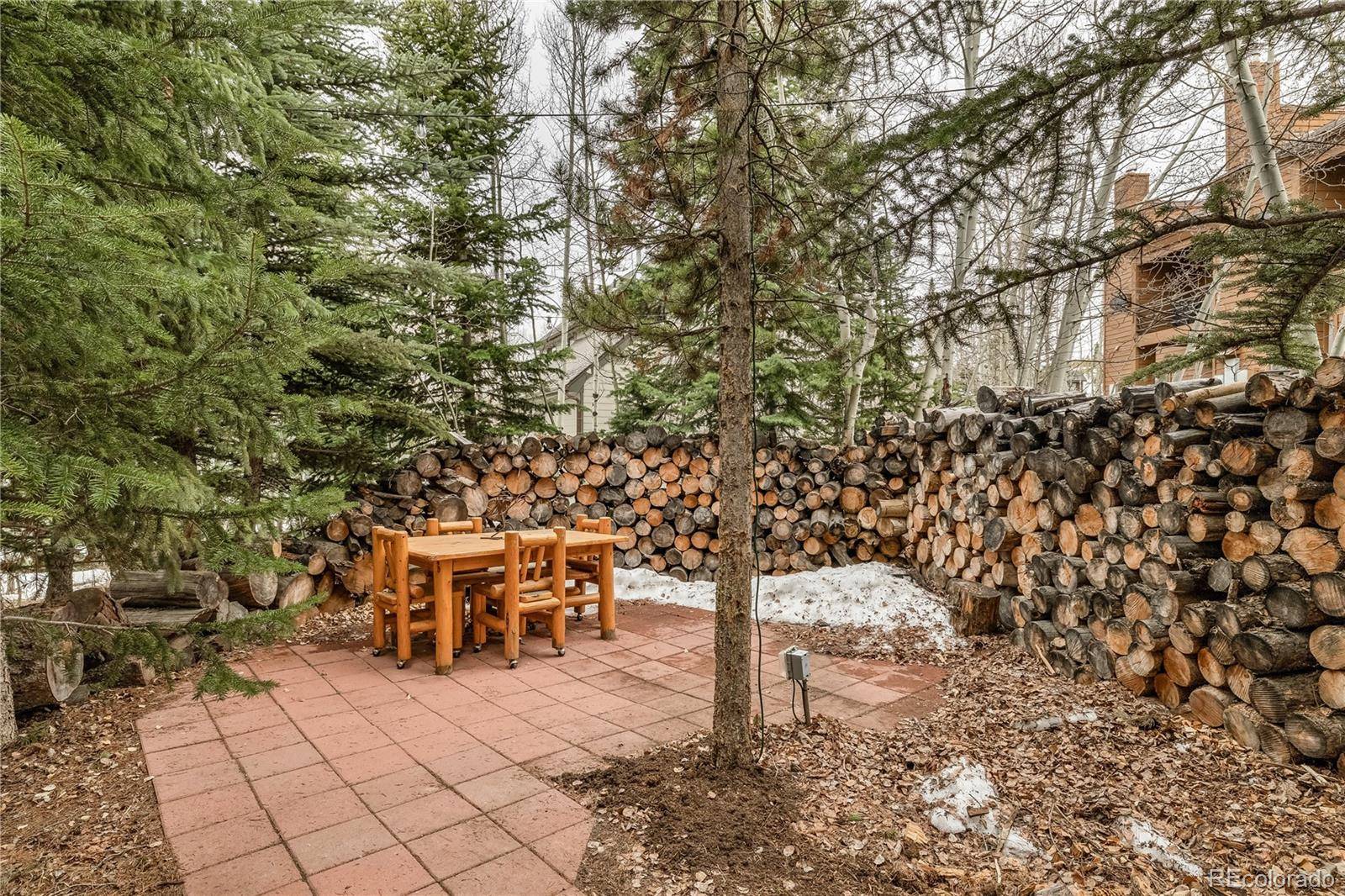 53 Burgundy CIR #A, Silverthorne, CO 80498