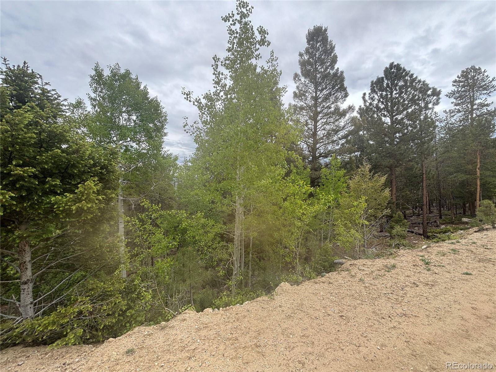 30304 Aspen Turn, Buena Vista, CO 81211