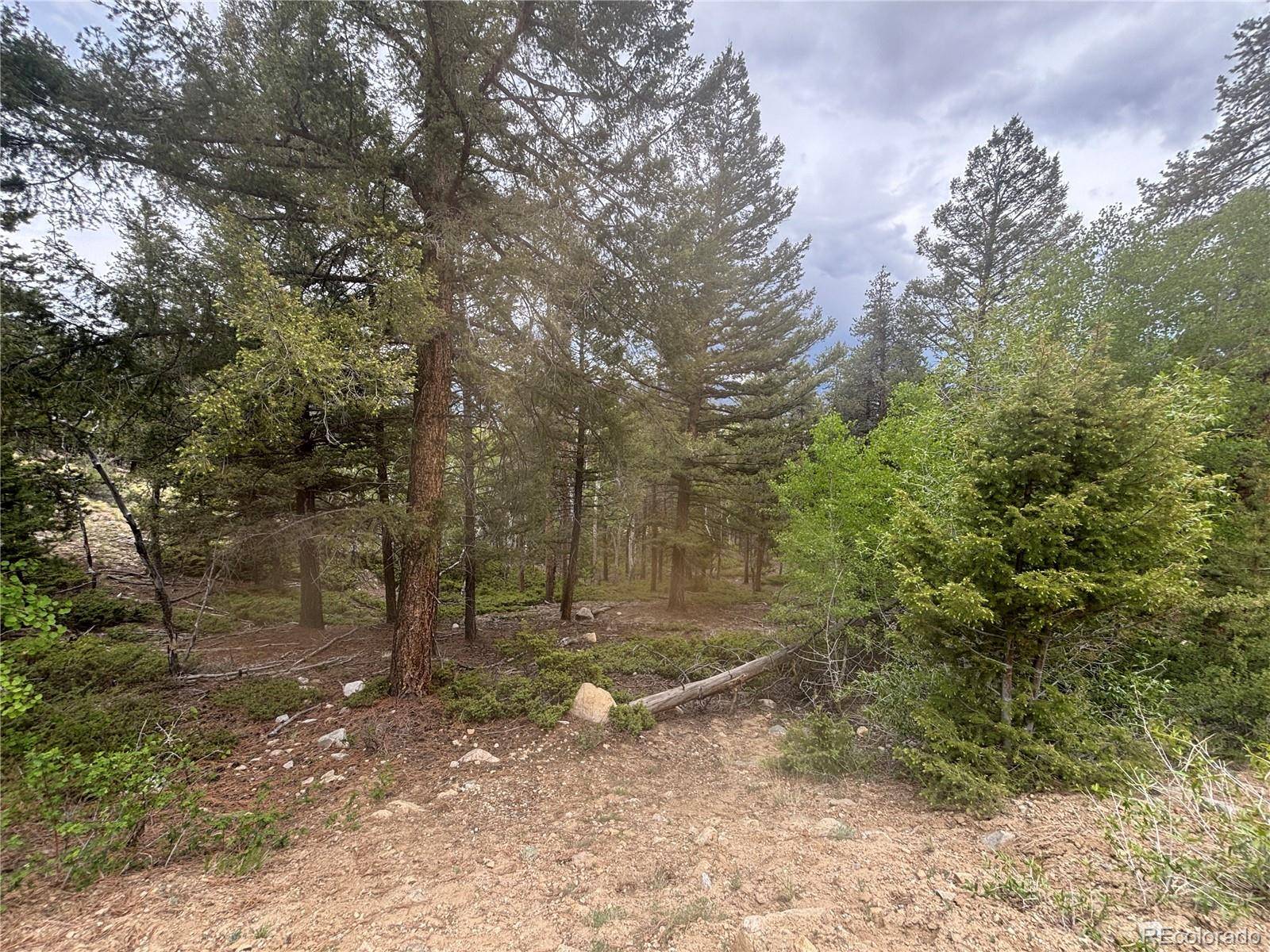 30304 Aspen Turn, Buena Vista, CO 81211