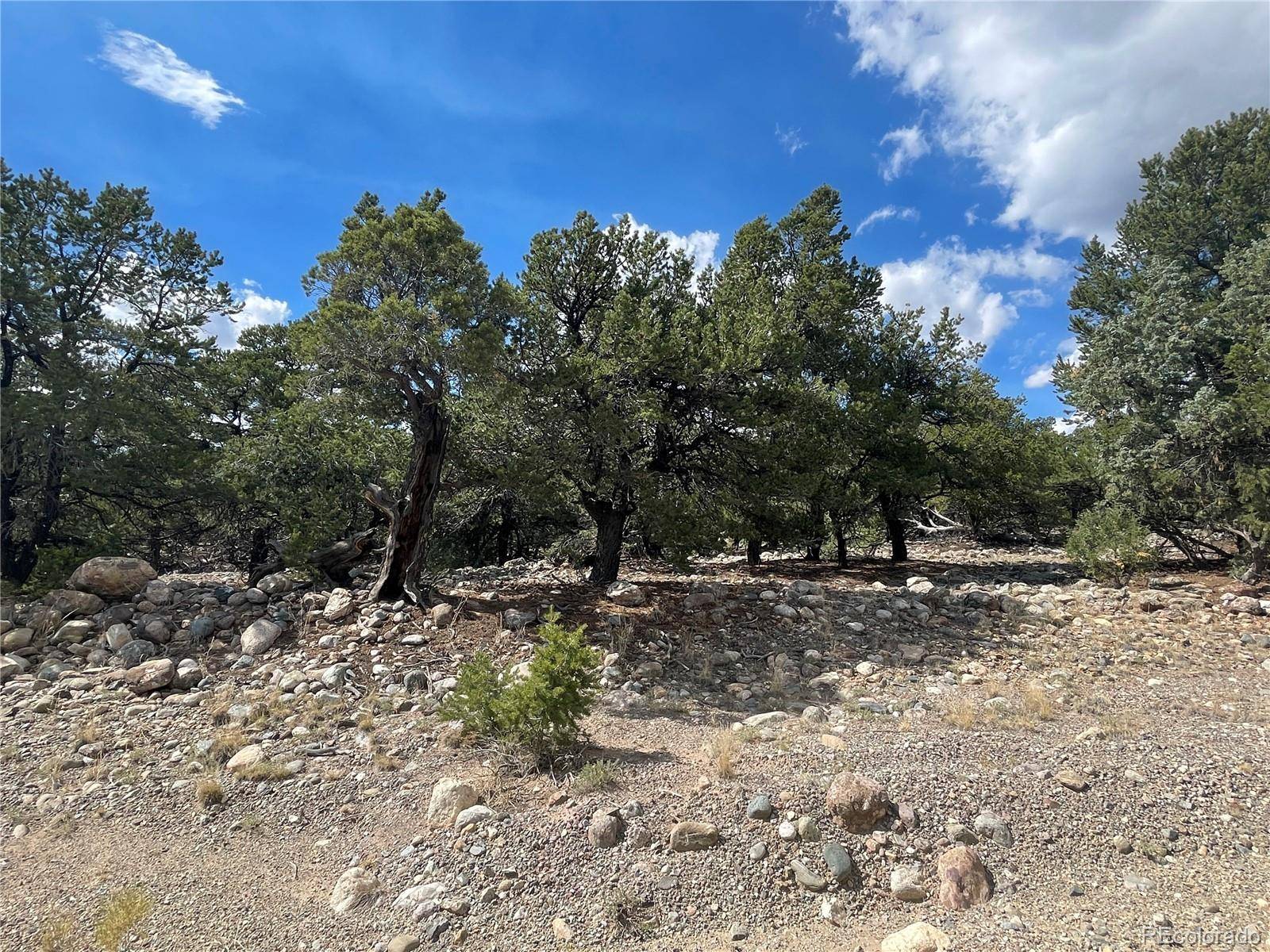 2723 Happy Hollow WAY, Crestone, CO 81131