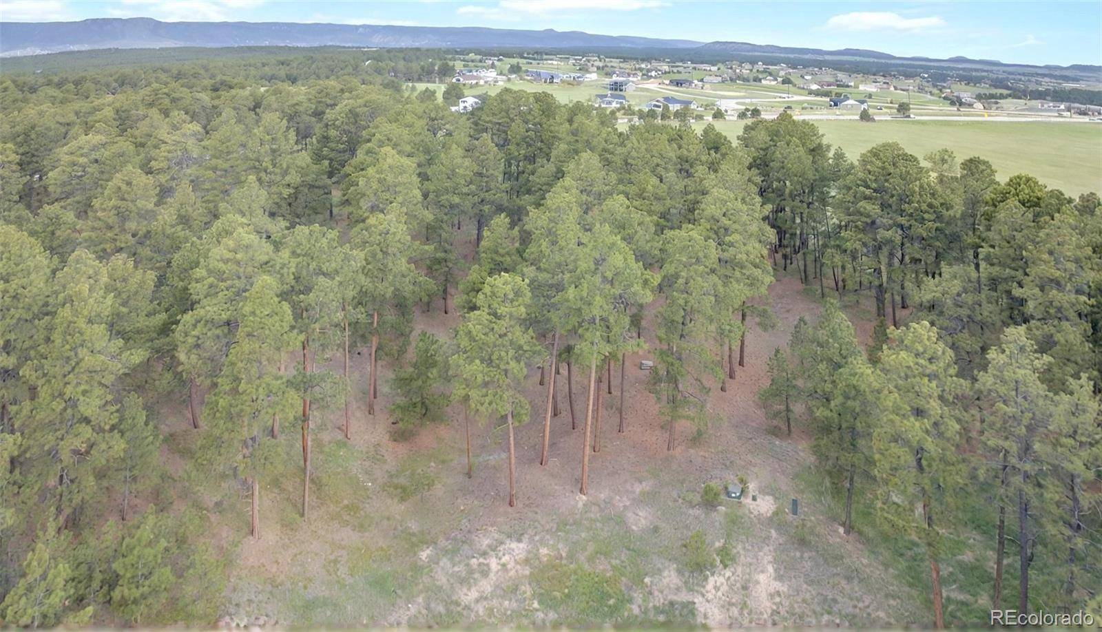 3930 Serenity PL, Colorado Springs, CO 80908