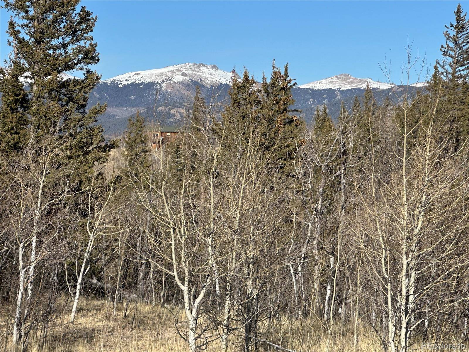 280 Welsh Cob LN, Jefferson, CO 80456