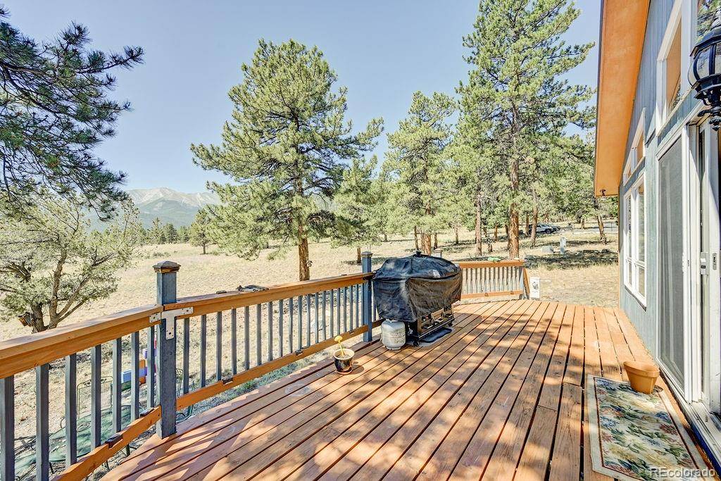18060 Rio Hondo DR, Buena Vista, CO 81211