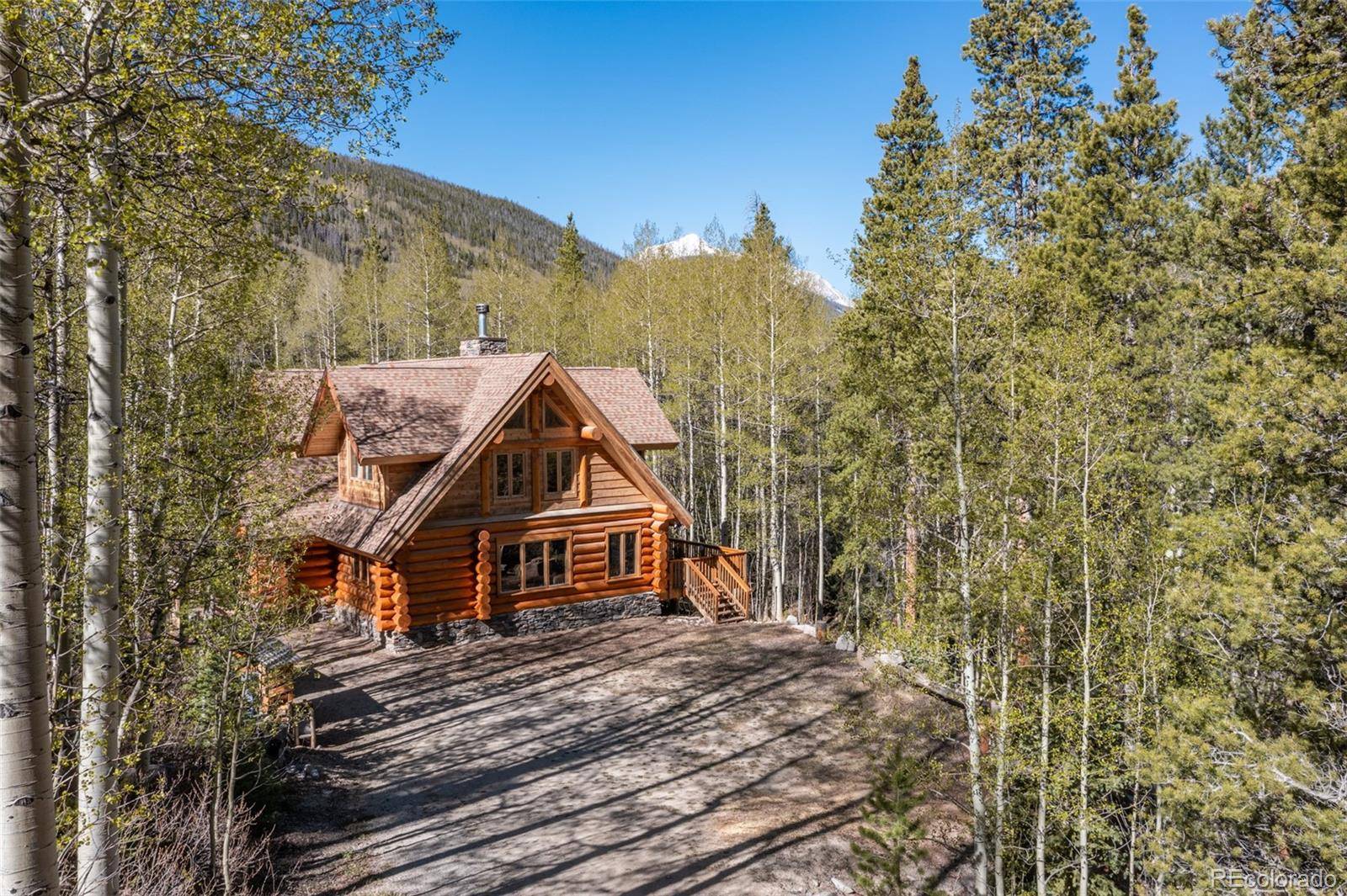 24500 County Road 162, Nathrop, CO 81236
