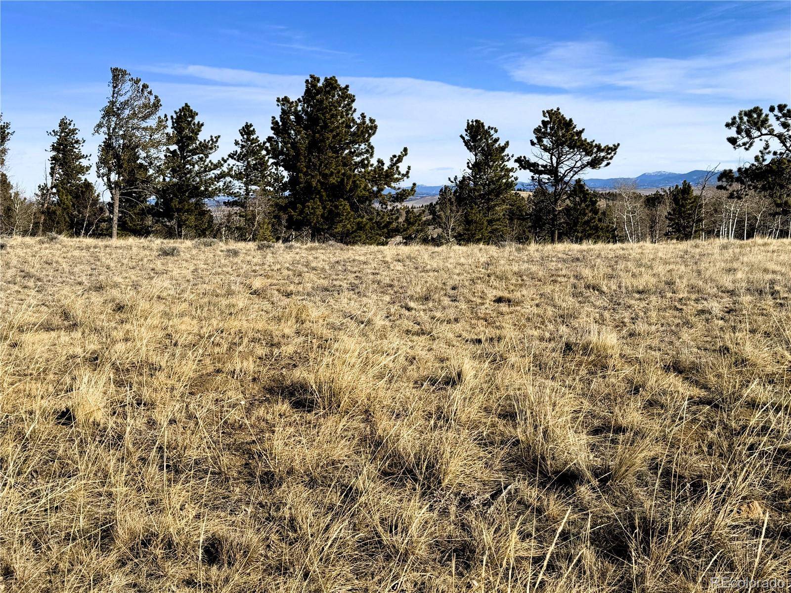 620 Wagon Wheel RD, Hartsel, CO 80449