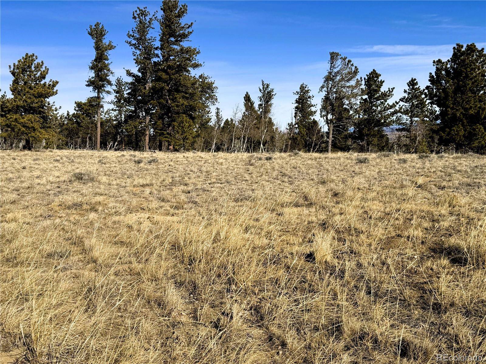 620 Wagon Wheel RD, Hartsel, CO 80449