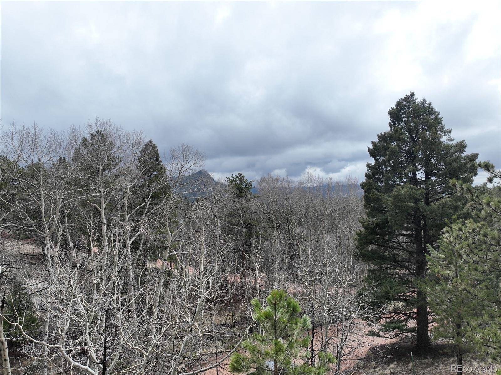 255 Pinon LN, Florissant, CO 80816