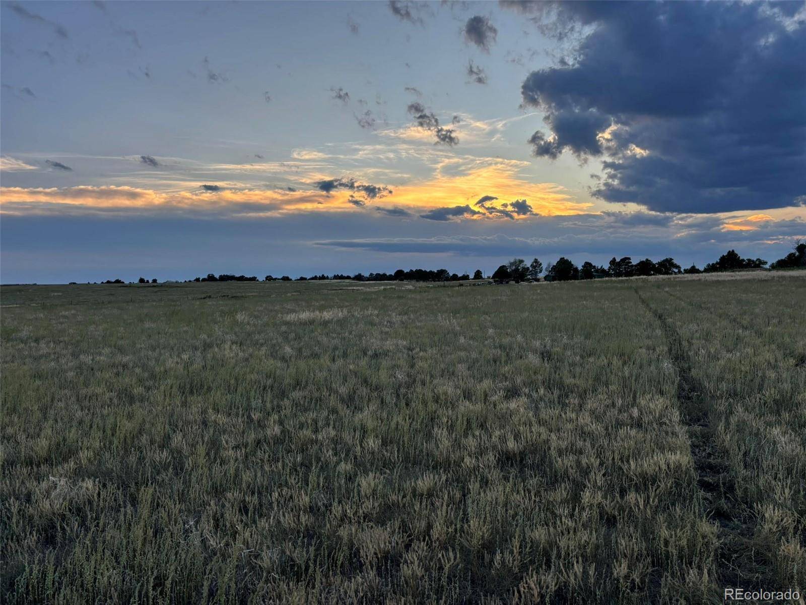 40655 Truckton RD, Rush, CO 80833