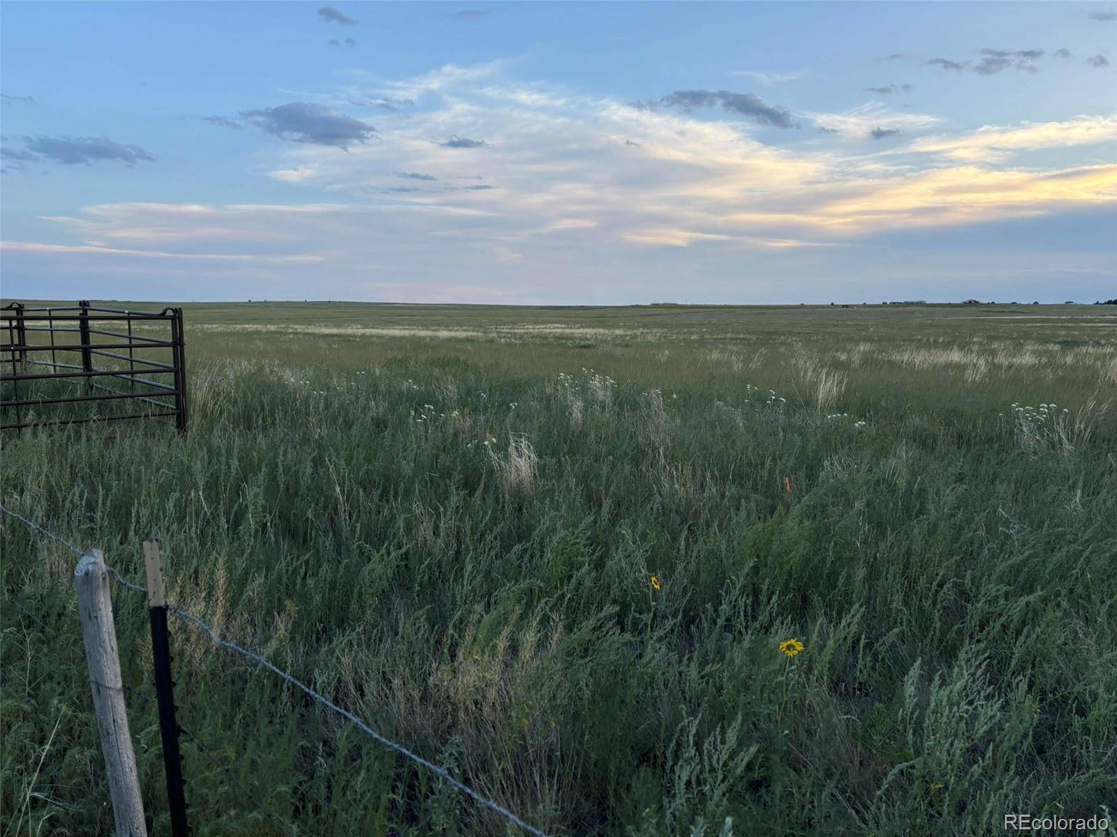 40655 Truckton RD, Rush, CO 80833