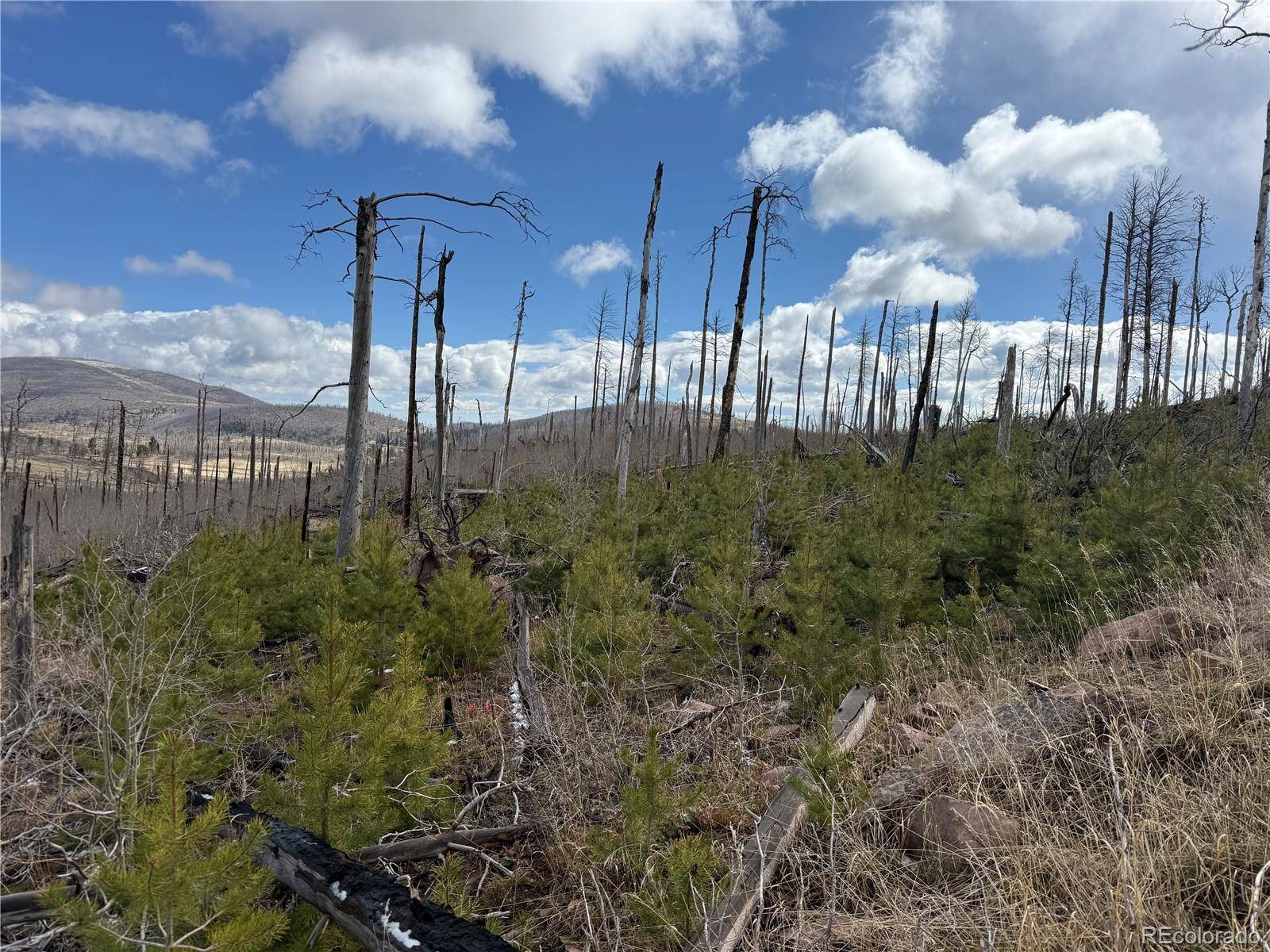 Lot 1960 Hilda LN, Fort Garland, CO 81133