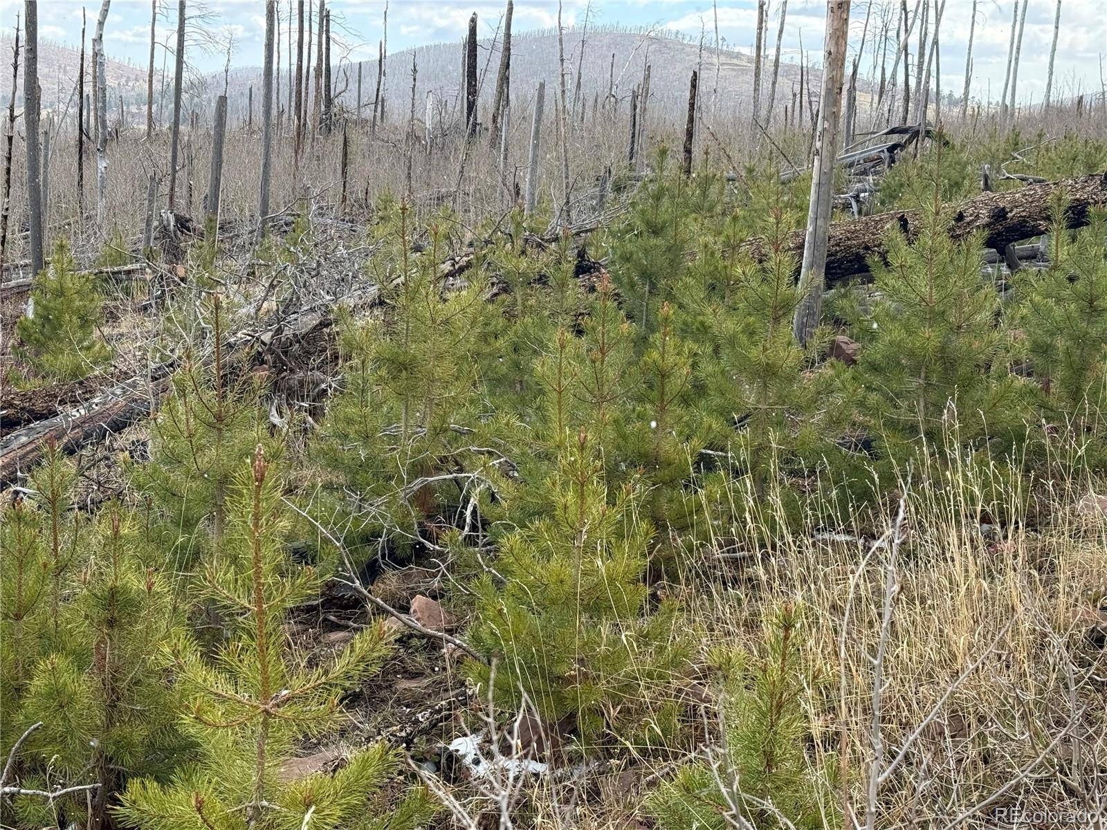 Lot 1960 Hilda LN, Fort Garland, CO 81133