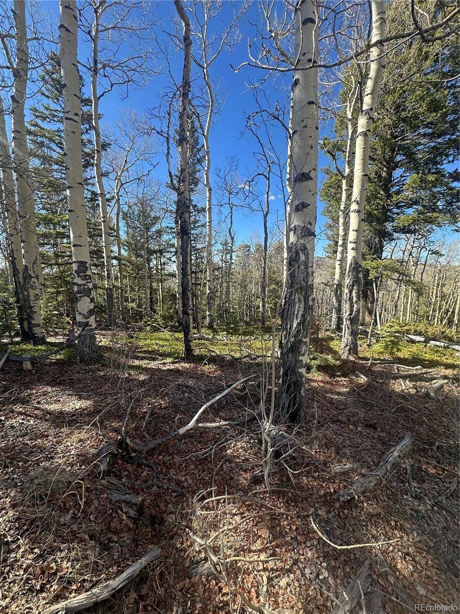Lot 6744 Starkweather RD, San Luis, CO 81152