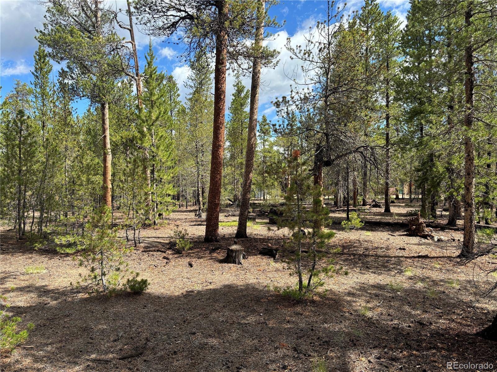 399 Fir DR, Twin Lakes, CO 80461
