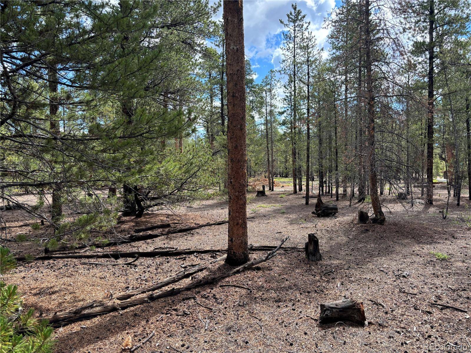 399 Fir DR, Twin Lakes, CO 80461
