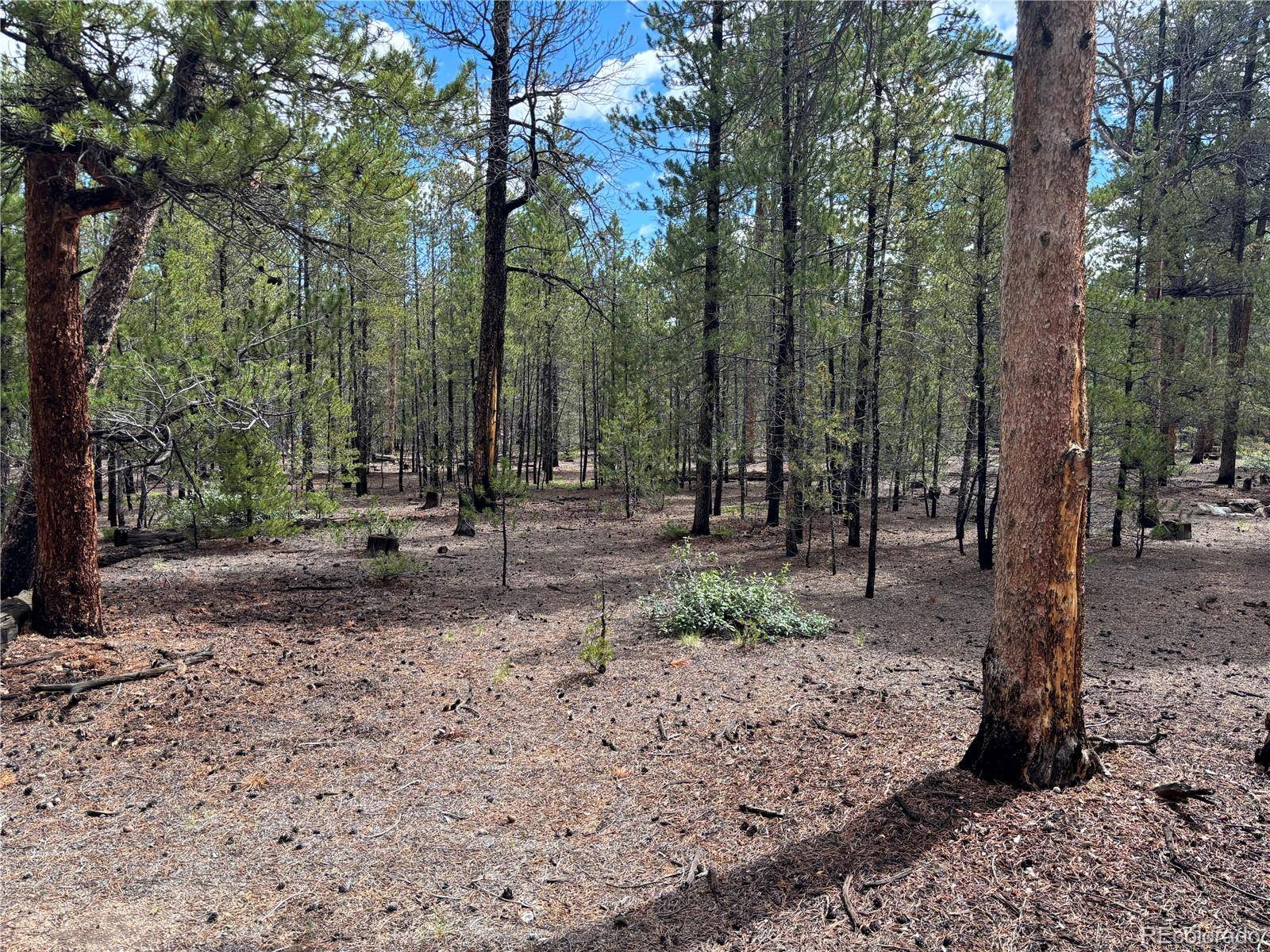 399 Fir DR, Twin Lakes, CO 80461