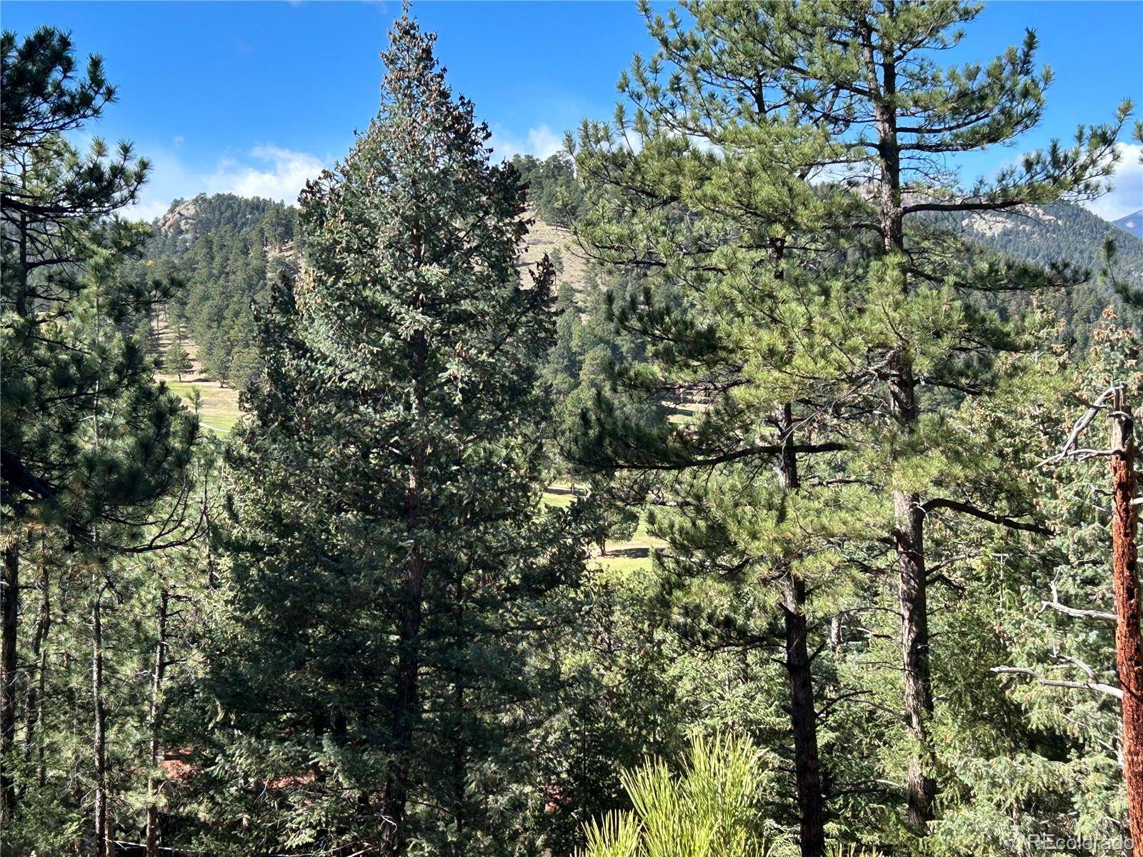 0 Pine RD, Evergreen, CO 80439