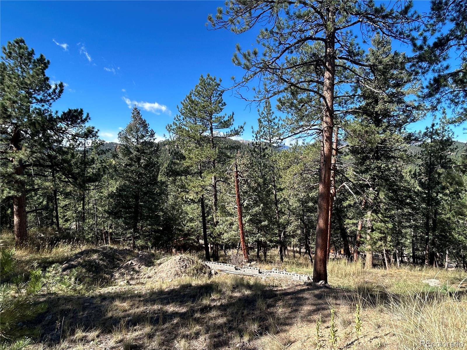 0 Pine RD, Evergreen, CO 80439