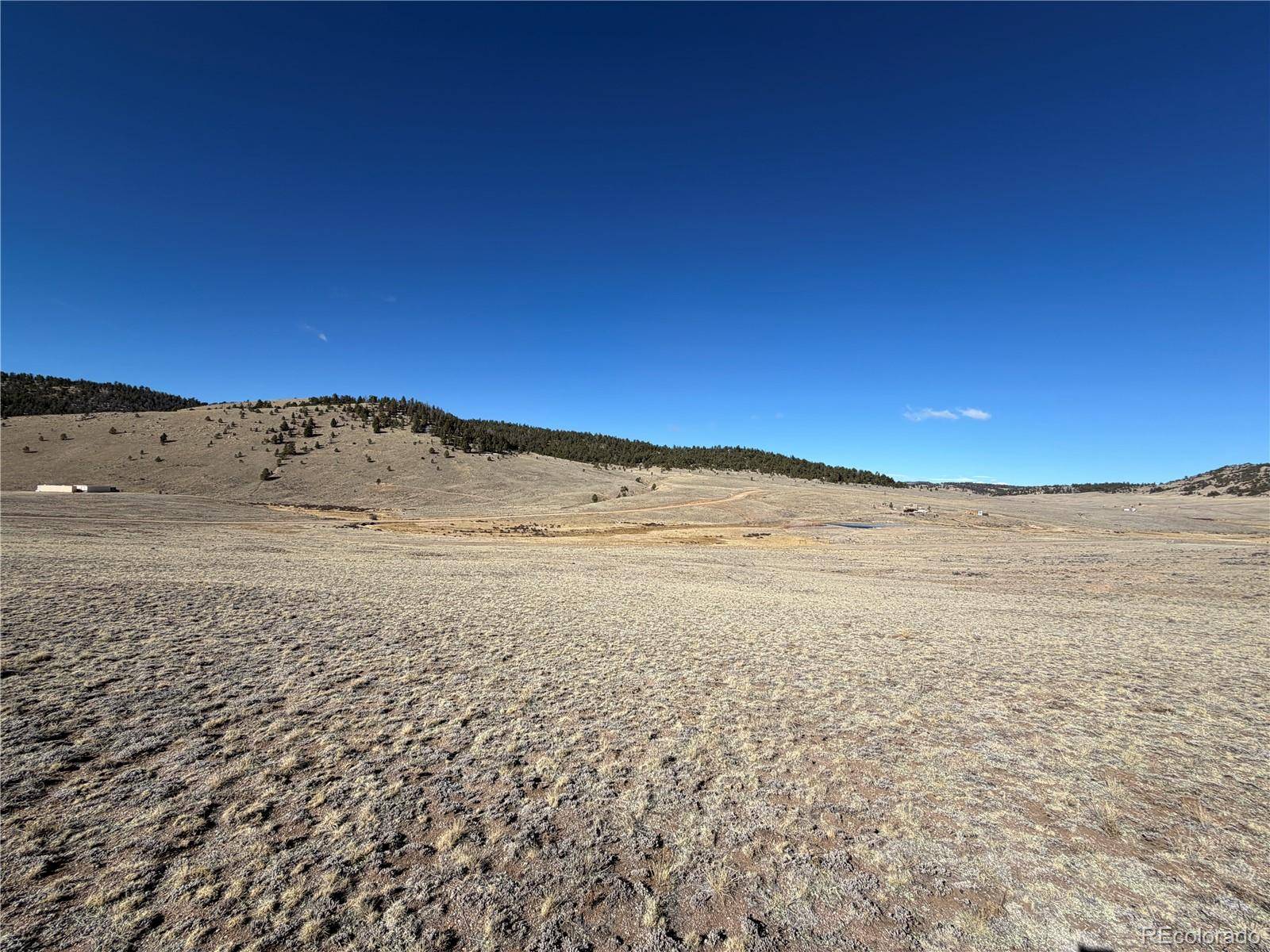 66 Wagon Wheel RD, Hartsel, CO 80449