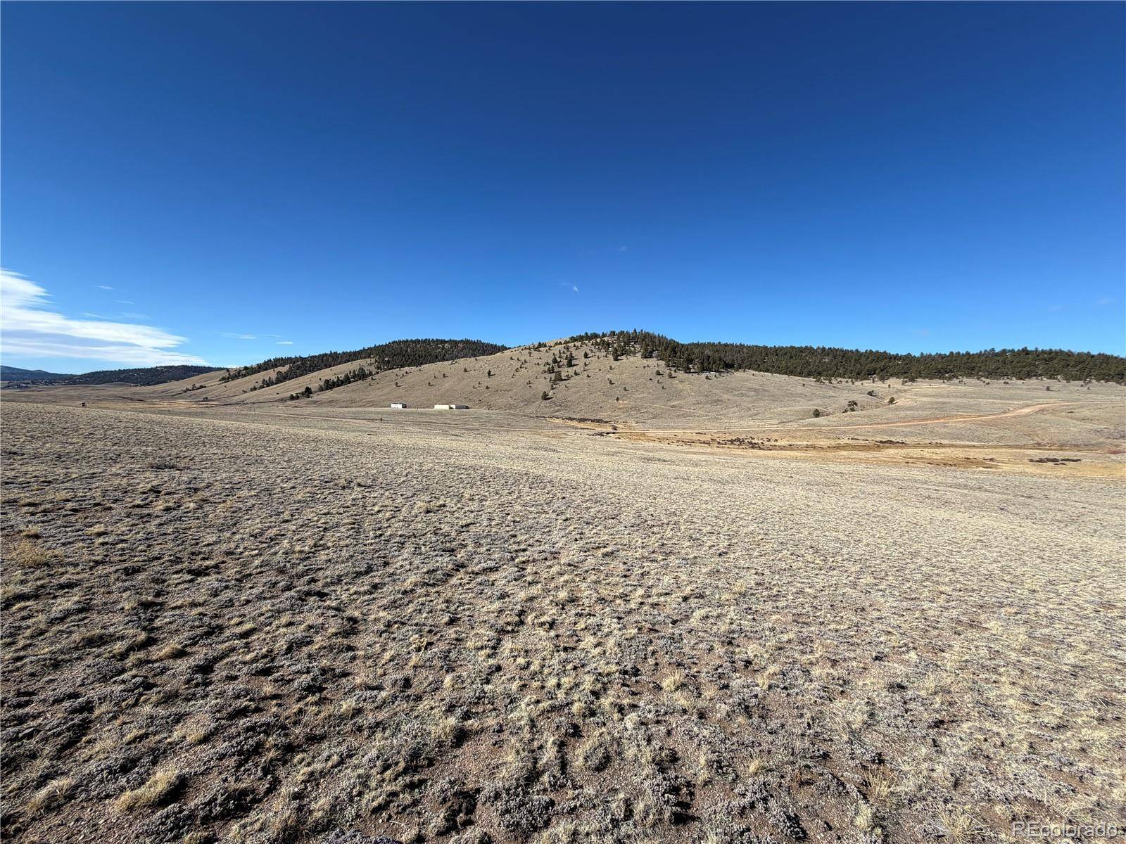 66 Wagon Wheel RD, Hartsel, CO 80449