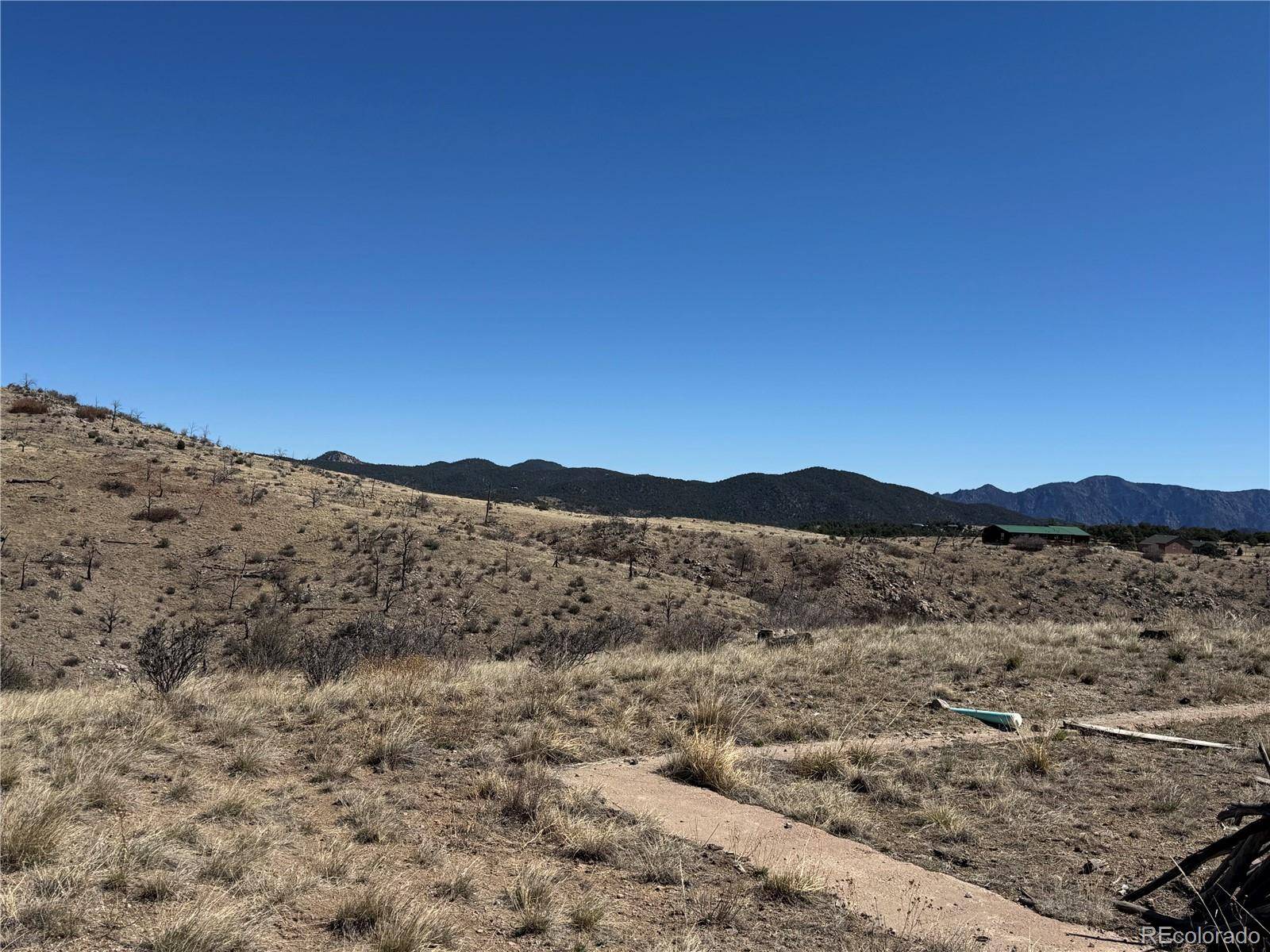 184 Carpenter TRL, Cotopaxi, CO 81223