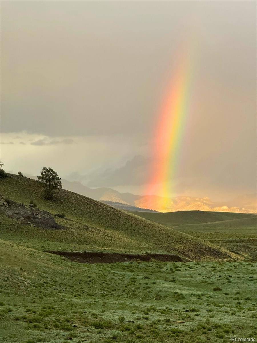 391 Gulch RD, Hartsel, CO 80449