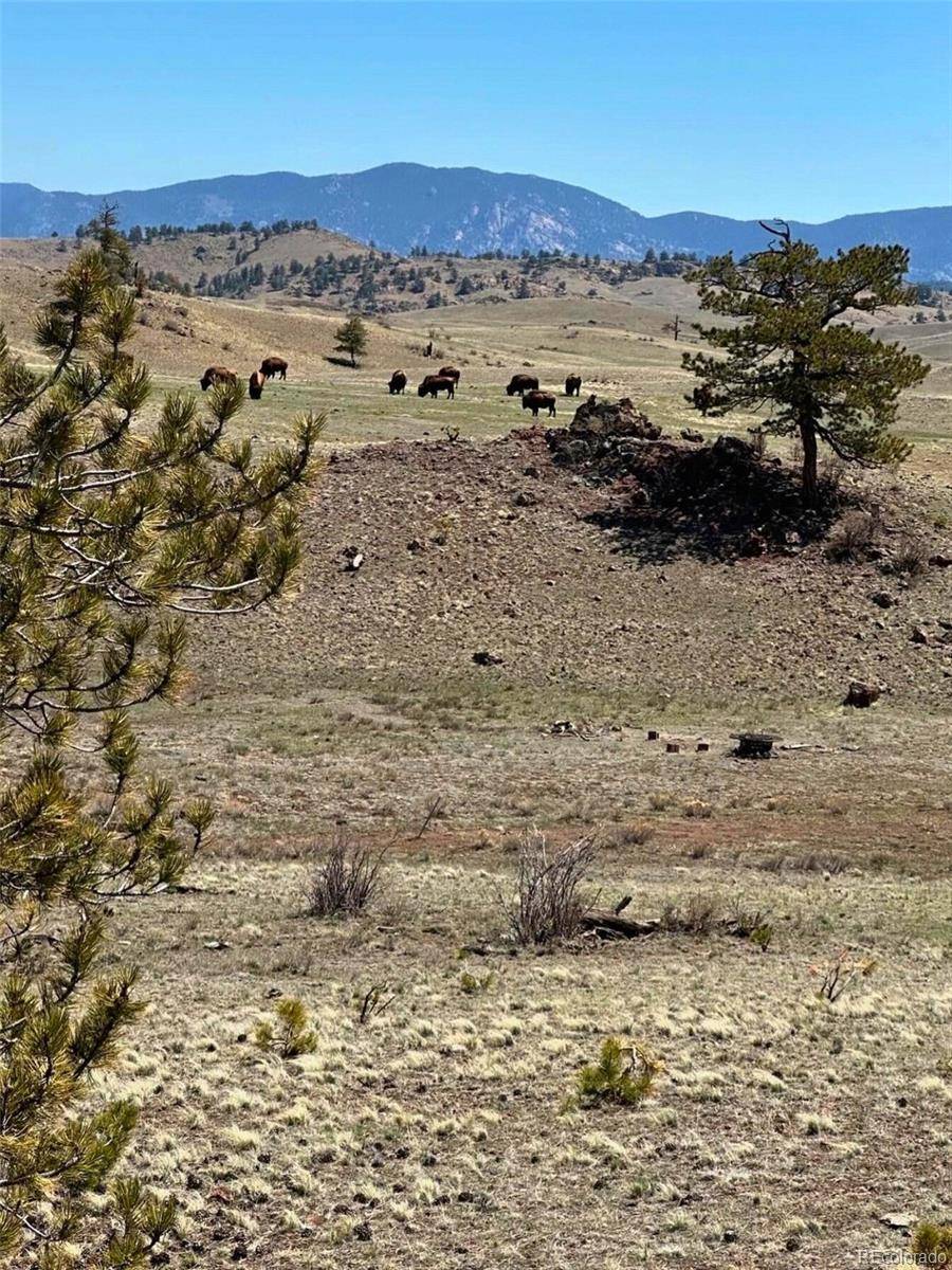 391 Gulch RD, Hartsel, CO 80449