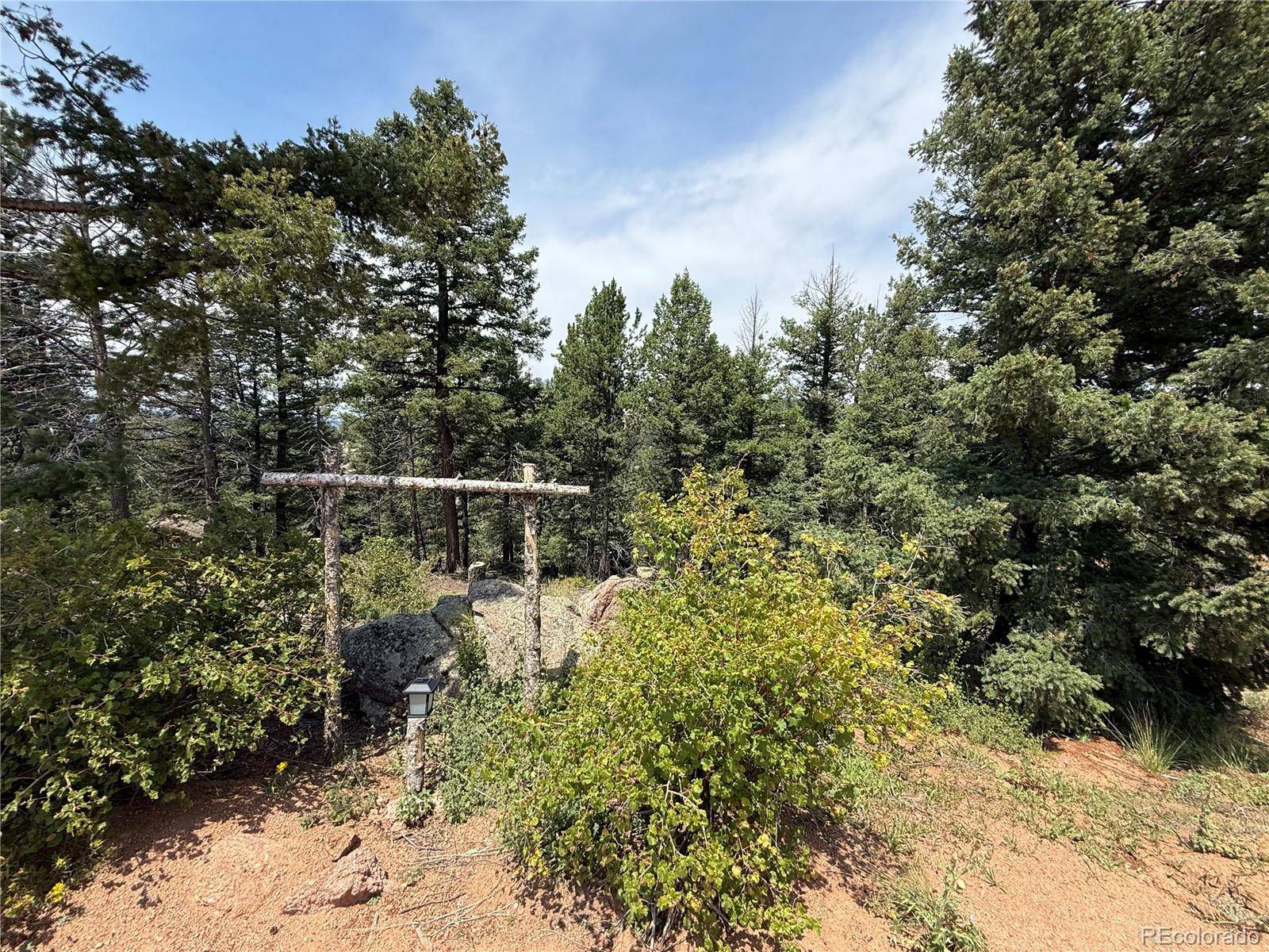 3546 N Mountain Estates RD, Florissant, CO 80816