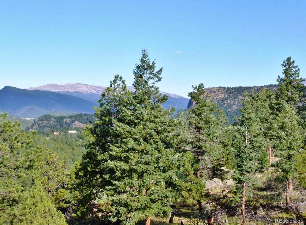 14794 Wetterhorn Peak TRL, Pine, CO 80470