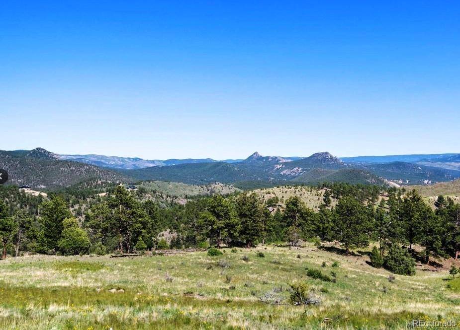 14794 Wetterhorn Peak TRL, Pine, CO 80470