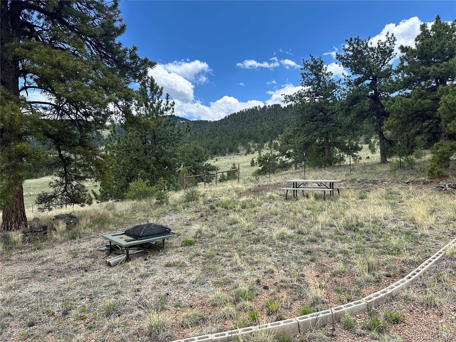 706 Bristlecone RD, Guffey, CO 80820