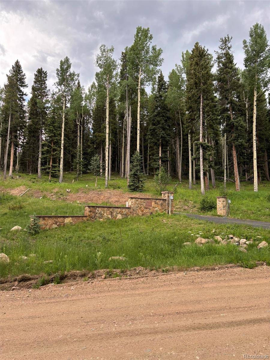 28651 Belle Point DR, Conifer, CO 80433