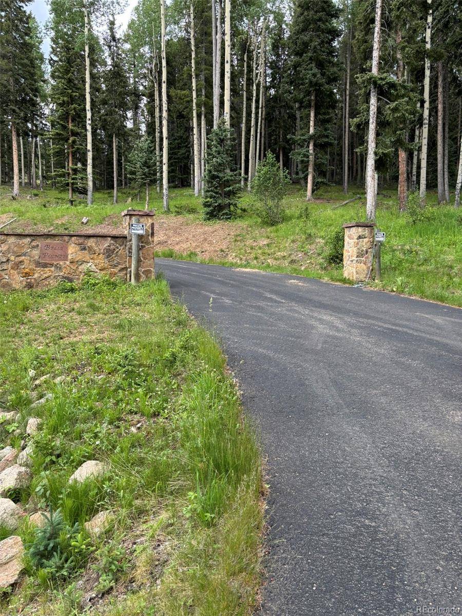 28651 Belle Point DR, Conifer, CO 80433
