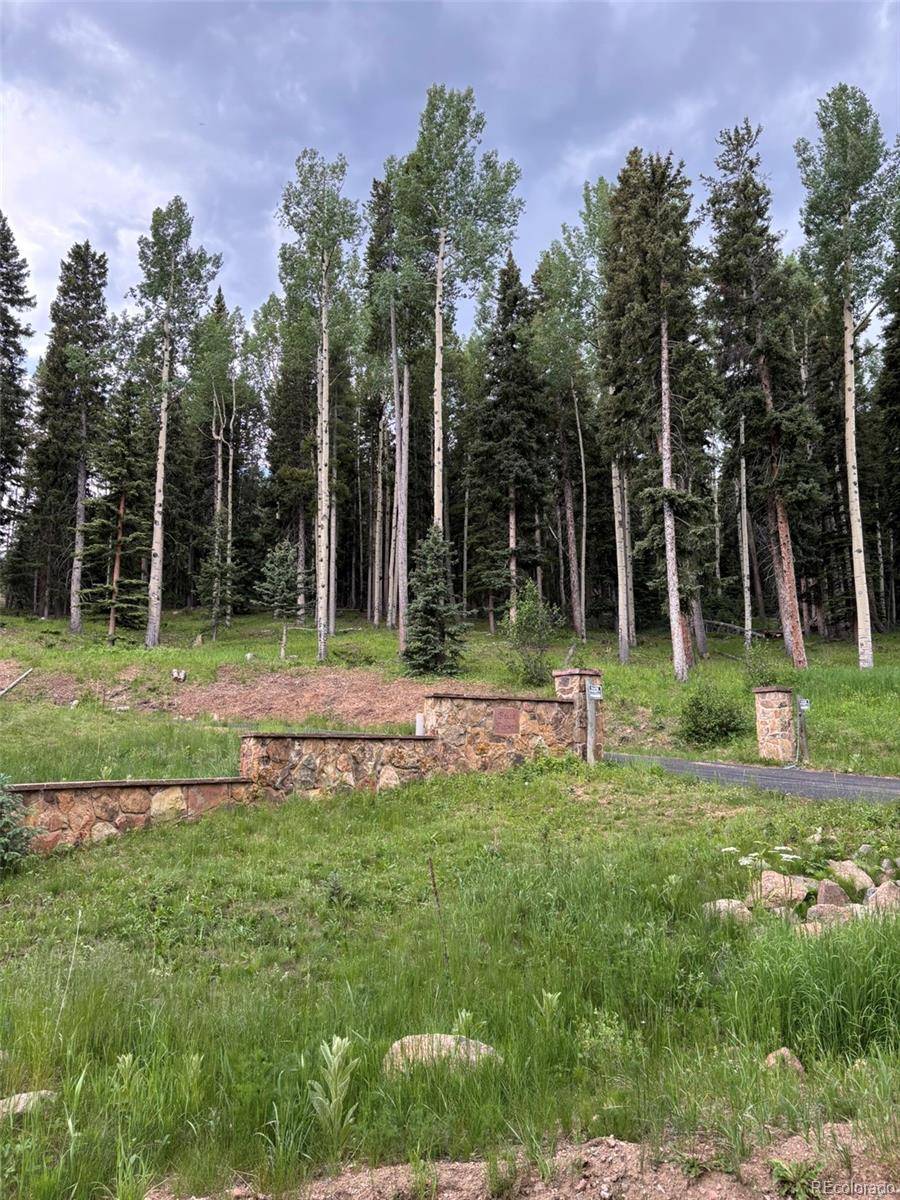 28651 Belle Point DR, Conifer, CO 80433