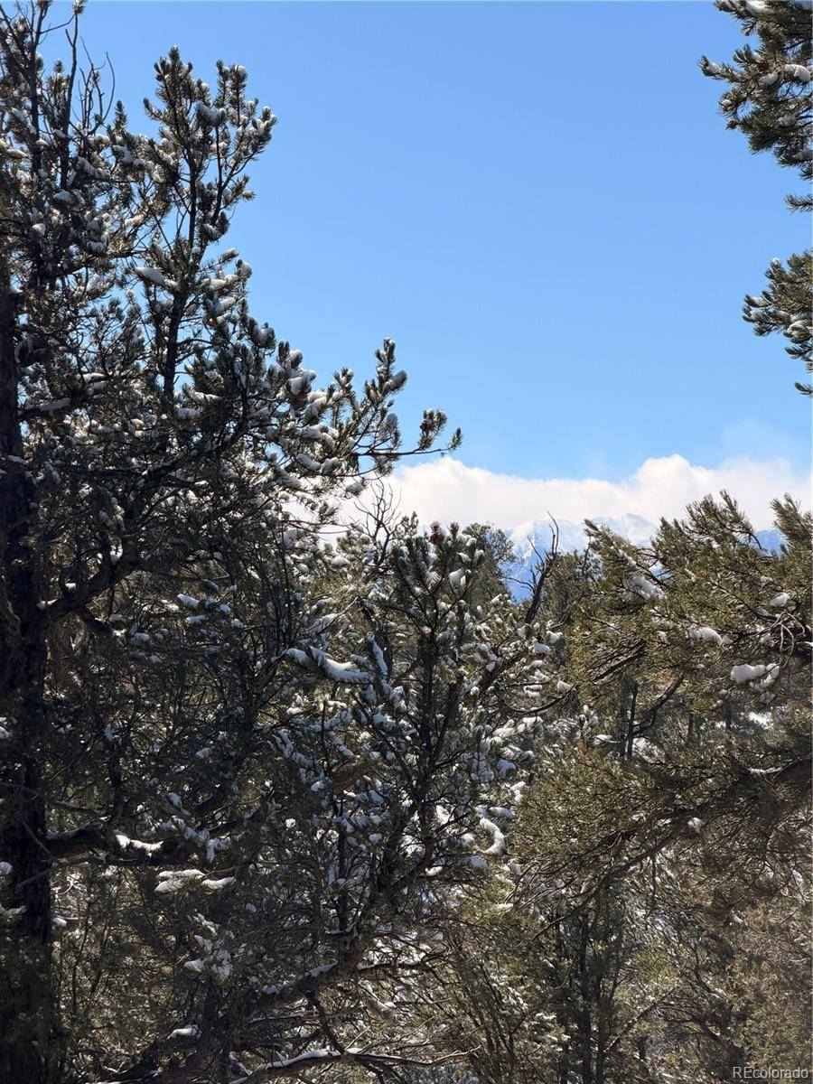 000 41st Trail, Cotopaxi, CO 81223