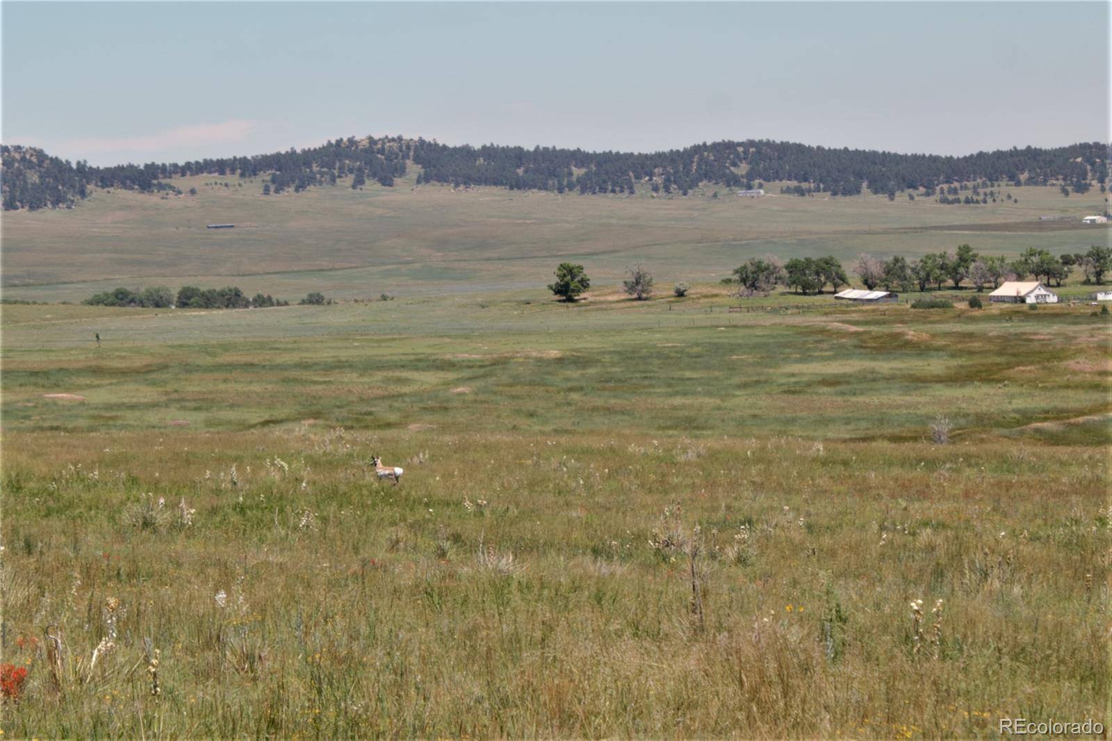 Tract 22 Sweet RD, Calhan, CO 80808