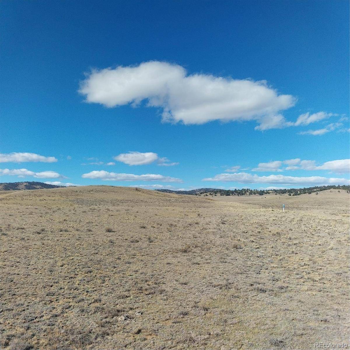 3552 Ute TRCE, Hartsel, CO 80449