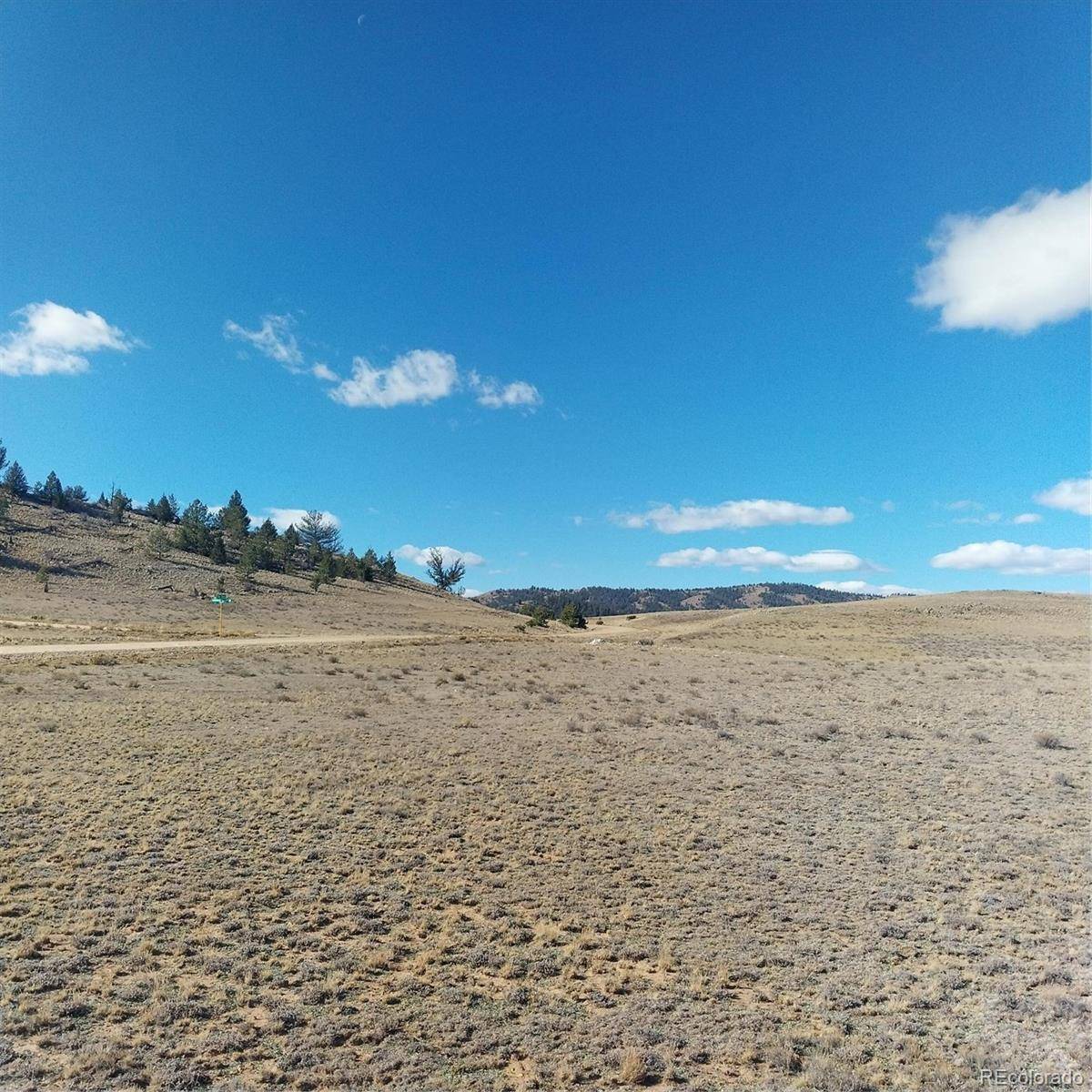 3552 Ute TRCE, Hartsel, CO 80449