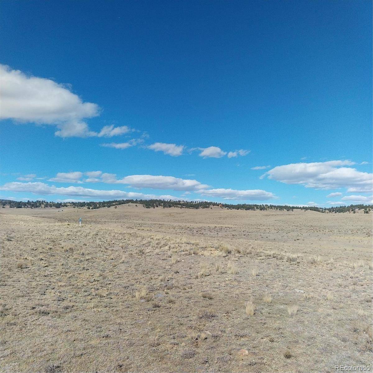 3552 Ute TRCE, Hartsel, CO 80449