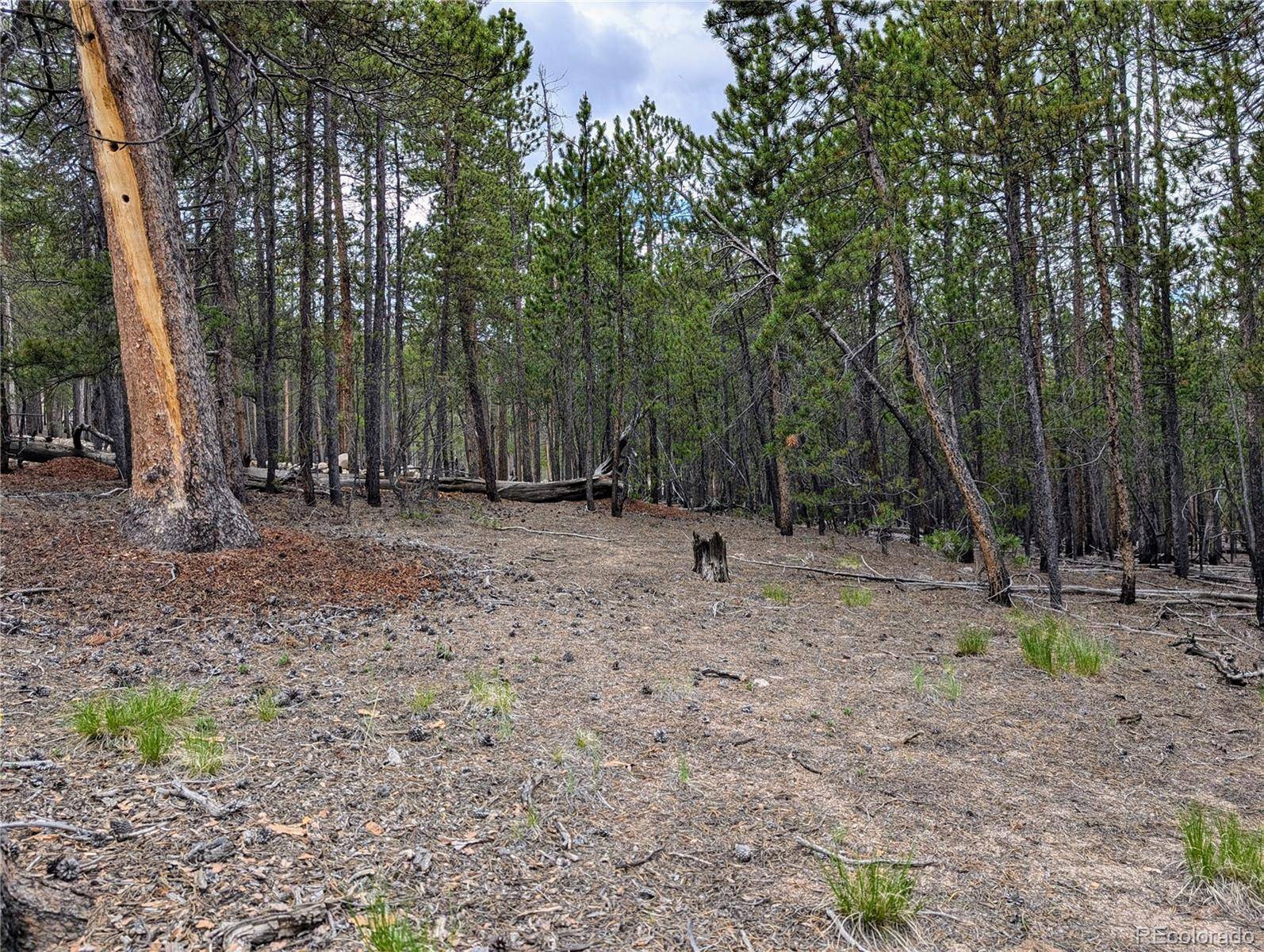 1073 Sequoia DR, Twin Lakes, CO 81251