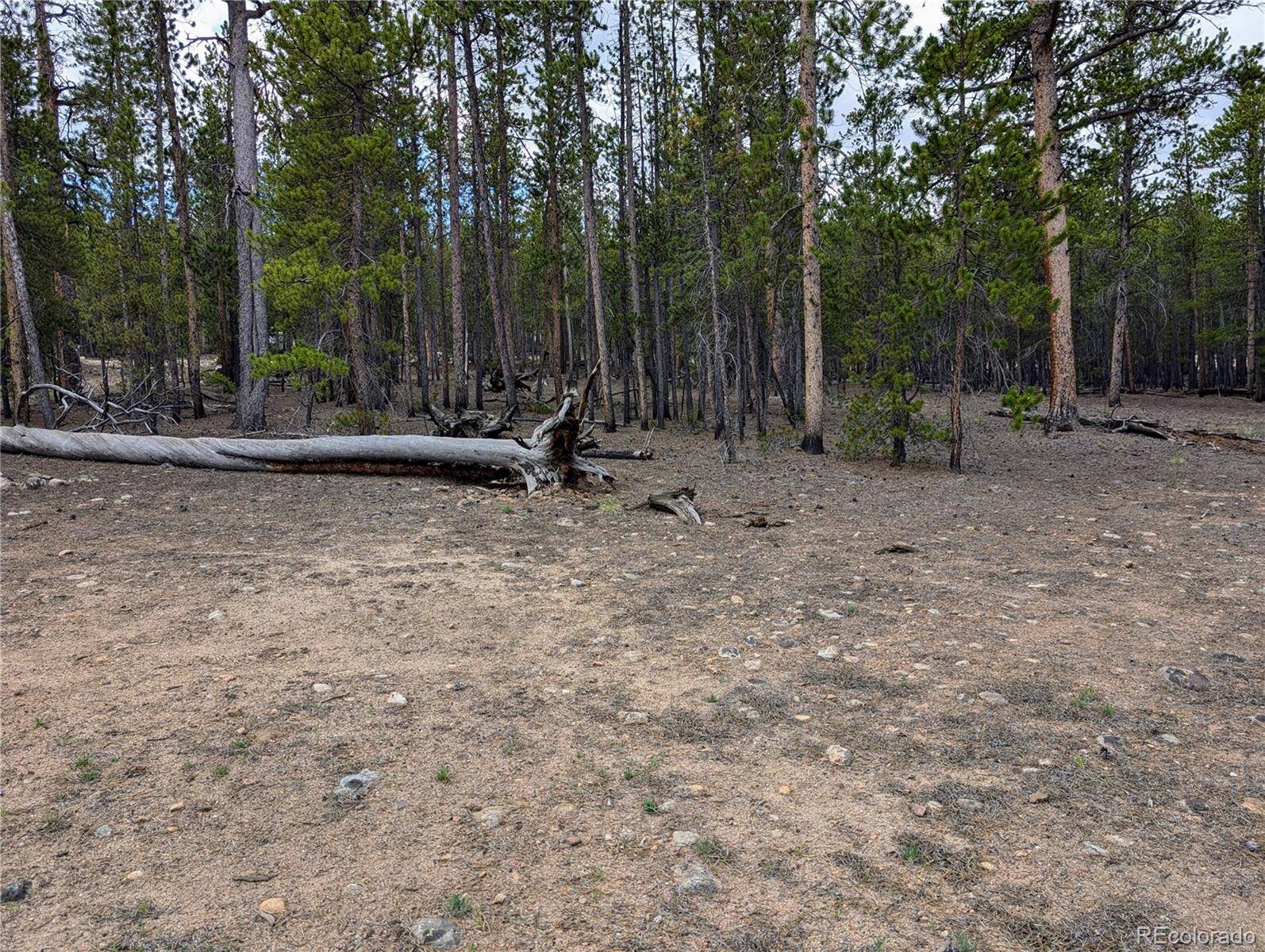1073 Sequoia DR, Twin Lakes, CO 81251