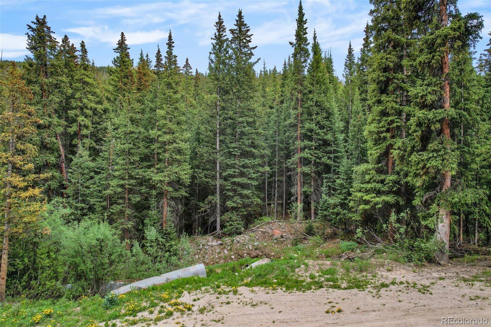 286 CTY Road 675, Breckenridge, CO 80424