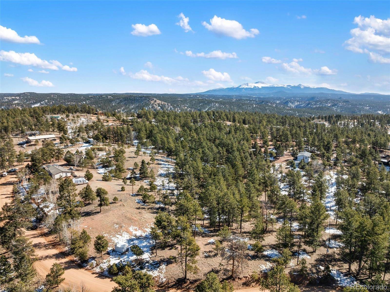530 Columbine RD, Florissant, CO 80816