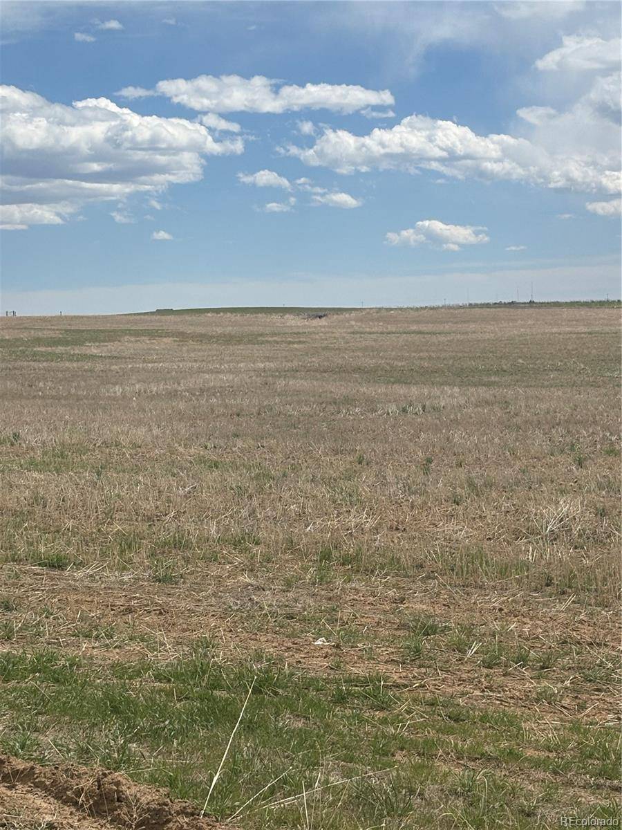 57075 E Maplewood PL, Strasburg, CO 80136